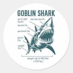 Sticker Rond Requin lutin Anatomie Biologiste marin Requin 