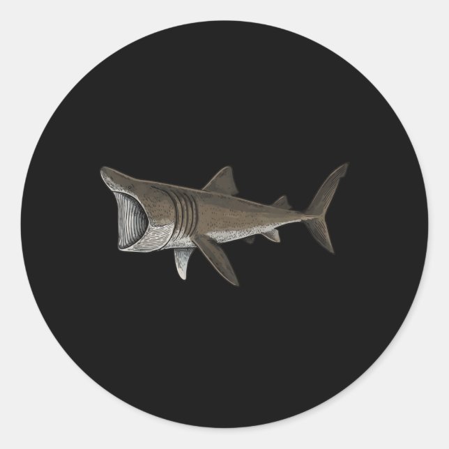 Sticker Rond Requin pèlerin (Devant)