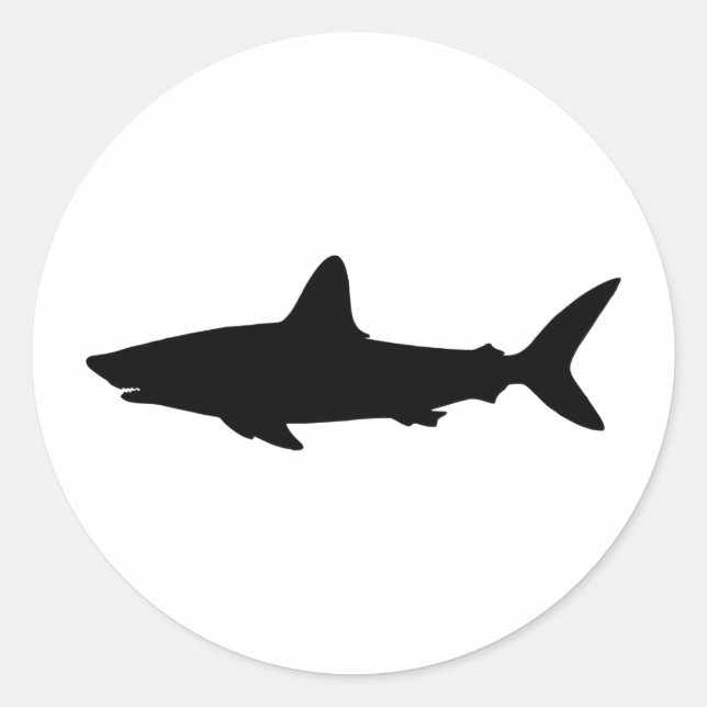 Sticker Rond Requin qui Nage (Devant)