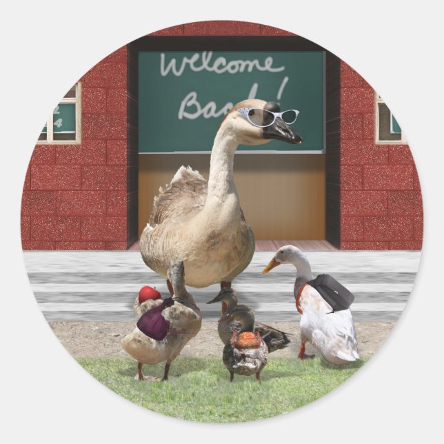 Sticker Rond Retour à l'école, petits canards ! (Devant)