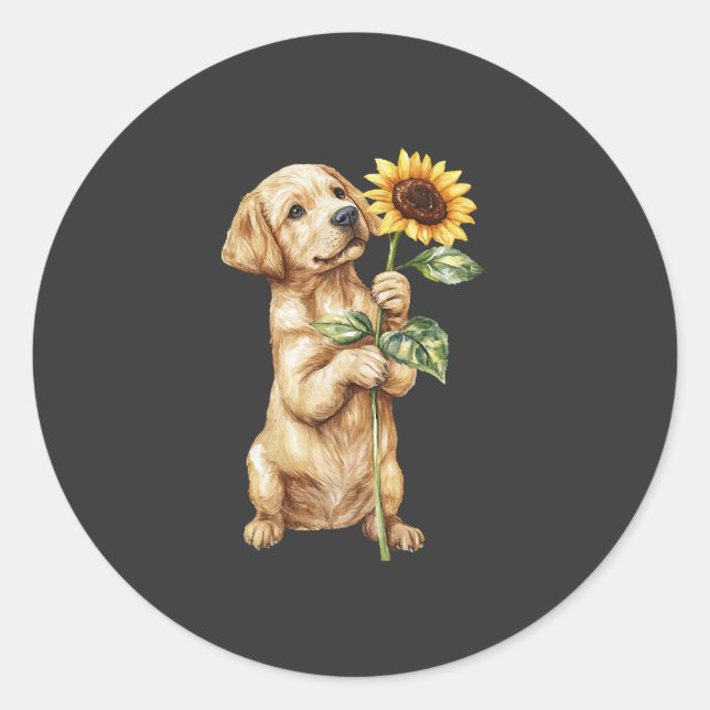Sticker Rond Retriever du Labrador  (Devant)