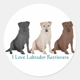 Sticker Rond Retrievers du Labrador - 3 couleurs à aimer