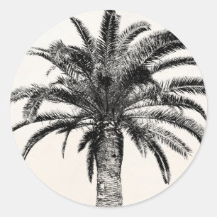Sticker Rond Rétro palmier tropical d'île en noir et blanc