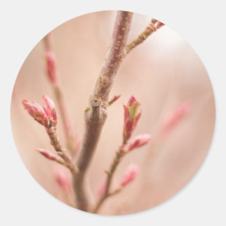 Sticker Rond rêves de printemps