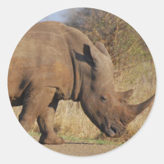 Sticker Rond Rhino