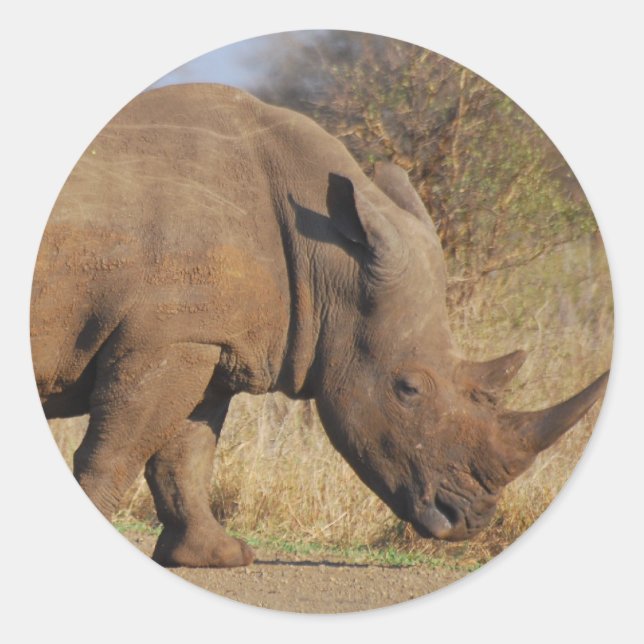 Sticker Rond Rhino (Devant)