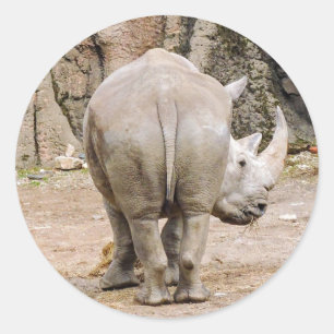Sticker Rond Rhino Butt