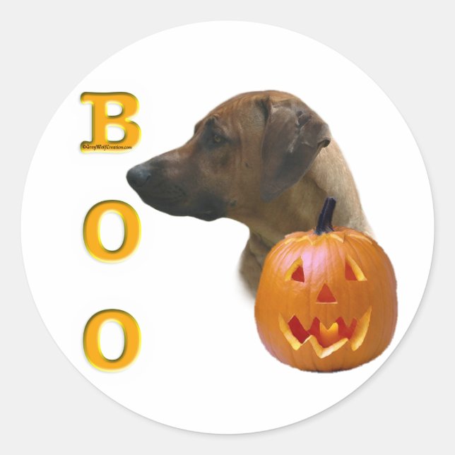 Sticker Rond Rhodesian Ridgeback Boo (Devant)