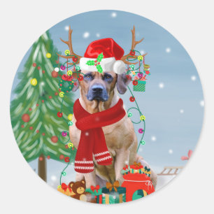 Sticker Rond Rhodesian Ridgeback Chien dans neige cadeau de Noë
