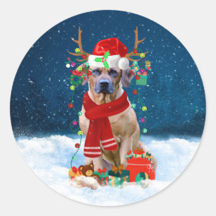 Sticker Rond Rhodesian Ridgeback Chien dans neige cadeau de Noë