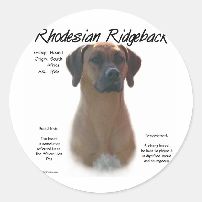 Sticker Rond Rhodesian Ridgeback Historique Design (Devant)