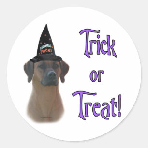 Sticker Rond Rhodesian Ridgeback Trick