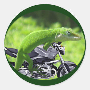 Sticker Rond Rider Hawaiian Gecko
