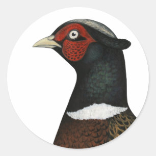 Sticker Rond Ringneck Pheasant Head