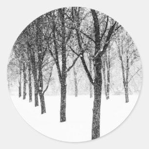 Sticker Rond ris I side with trees