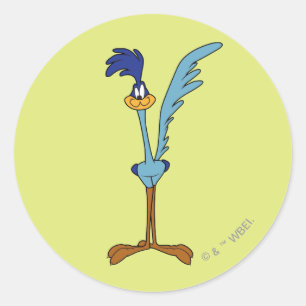 Sticker Rond ROAD RUNNER™ en couleur