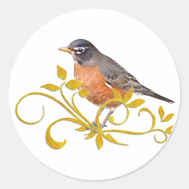 Sticker Rond Robin (Devant)
