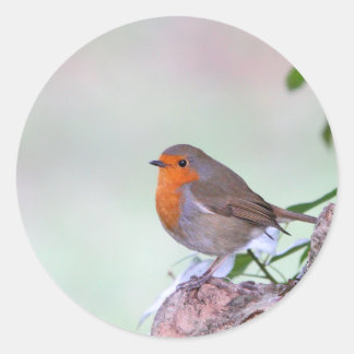 Sticker Rond Robin