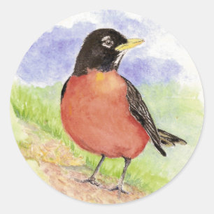 Sticker Rond Robin américain, Oiseau, Nature, Faune,