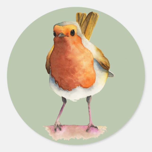 Sticker Rond Robin Bird aquarelle peinture (Devant)