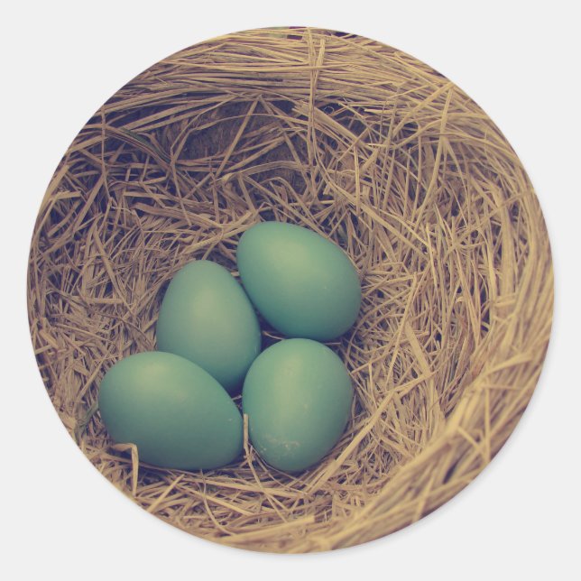 Sticker Rond Robin Nest et Oeufs (Devant)