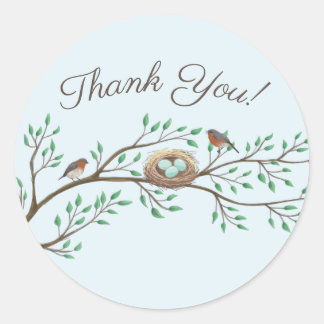 Sticker Rond Robin Oiseaux Nid Oeufs Baby shower de printemps