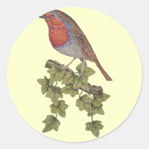 Sticker Rond Robin perché sur des oiseaux sauvages des feuille