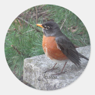 Sticker Rond Robin Photo Nom personnalisé
