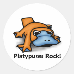 Sticker Rond Roche de Platypuses !