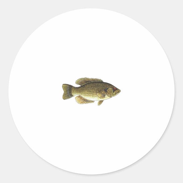 Sticker Rond Rock Bass (Devant)
