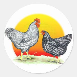 Sticker Rond Rocks Plymouth : lever du soleil