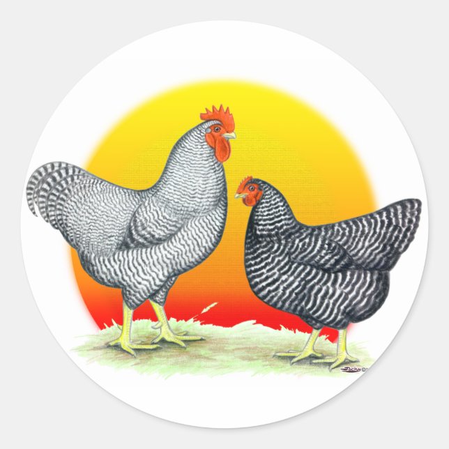 Sticker Rond Rocks Plymouth : lever du soleil (Devant)