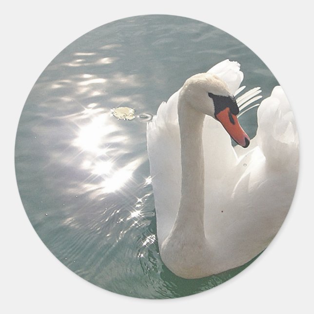 Sticker Rond Romantischer weisser Schwan (Devant)