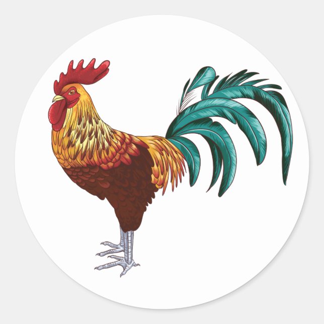 STICKER ROND ROOSTER (Devant)