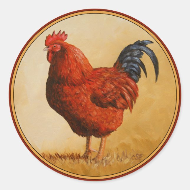 Sticker Rond Rooster chicken de Rhode Island (Devant)