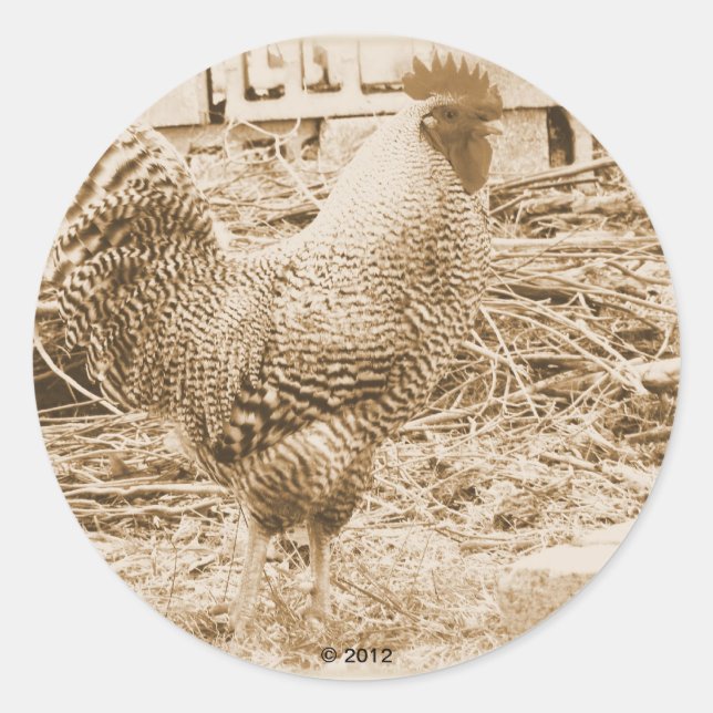 Sticker Rond Rooster de style vintage (Devant)