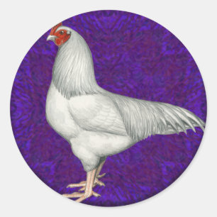 Sticker Rond Rooster Ixworth