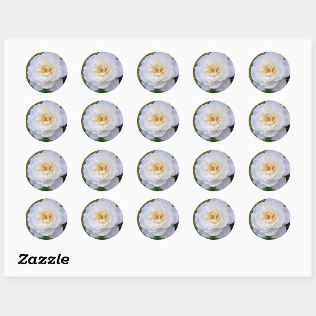 Sticker Rond Rosa Iceberg [Round Seal] (Feuille)