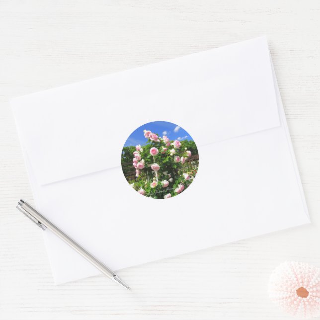 Sticker Rond Rosa Pierre de Ronsard：Seal (Enveloppe)