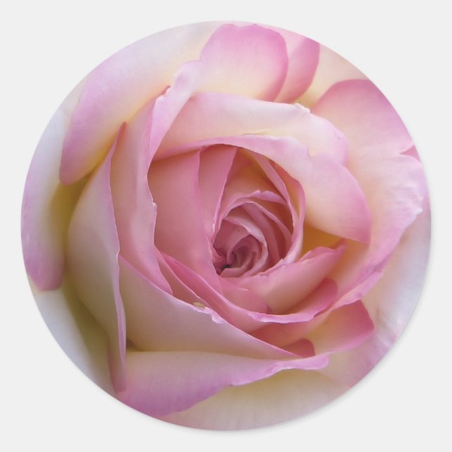 Sticker rond rose (Devant)