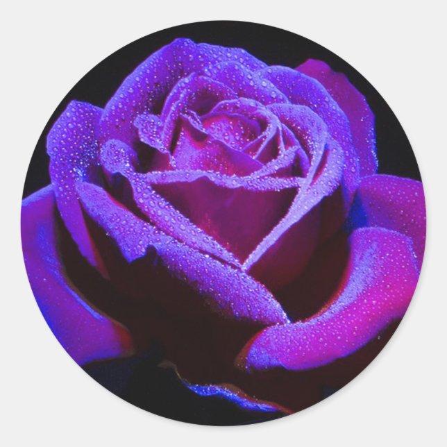 Sticker Rond Rose (Devant)