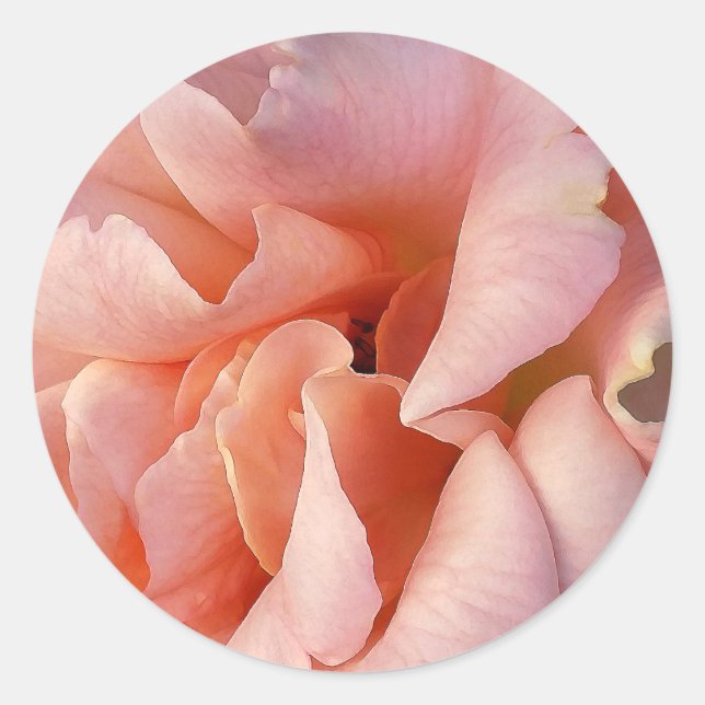 Sticker Rond rose (Devant)