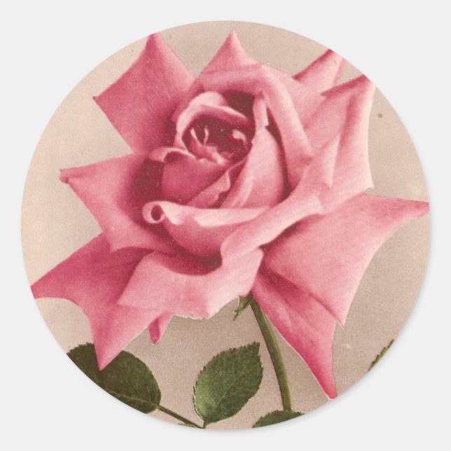 Sticker Rond Rose (Devant)