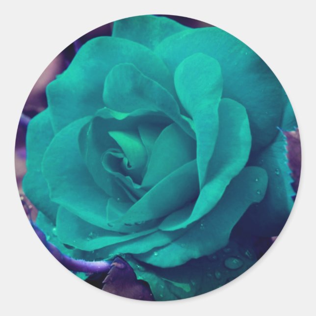 Sticker Rond Rose Aqua Abstrait (Devant)