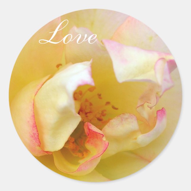 Sticker Rond Rose automne (Devant)