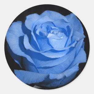 Sticker Rond Rose bleu unique