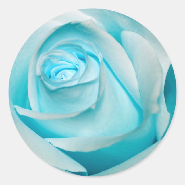 Sticker Rond Rose de glace Terquoise (Devant)