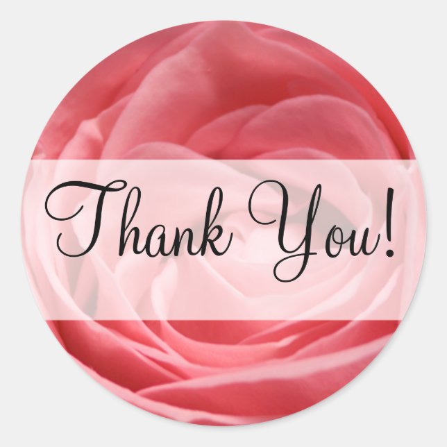 Sticker Rond Rose de thé rose avec bannière "Merci" (Devant)