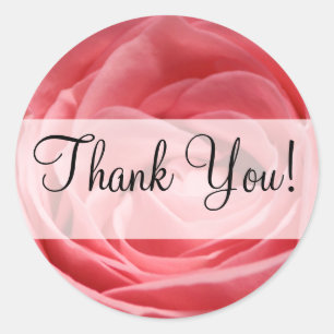 Sticker Rond Rose de thé rose avec bannière "Merci"
