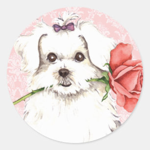 Sticker Rond Rose de Valentine maltais